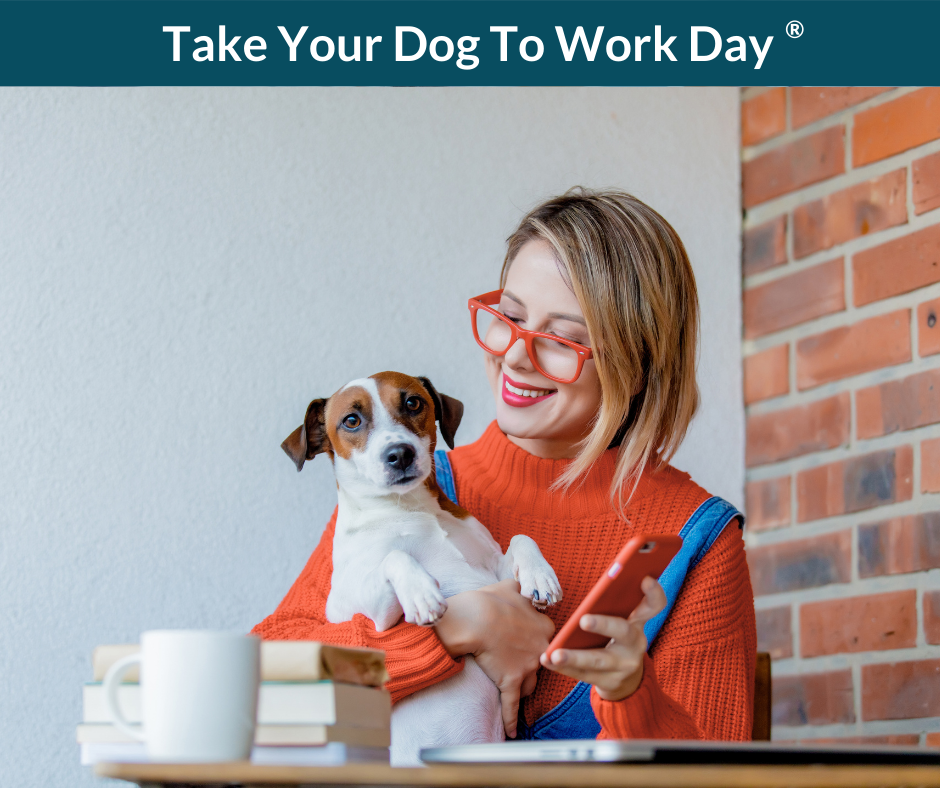 Smiling woman in an office holds a dog and looks at a smartphone.